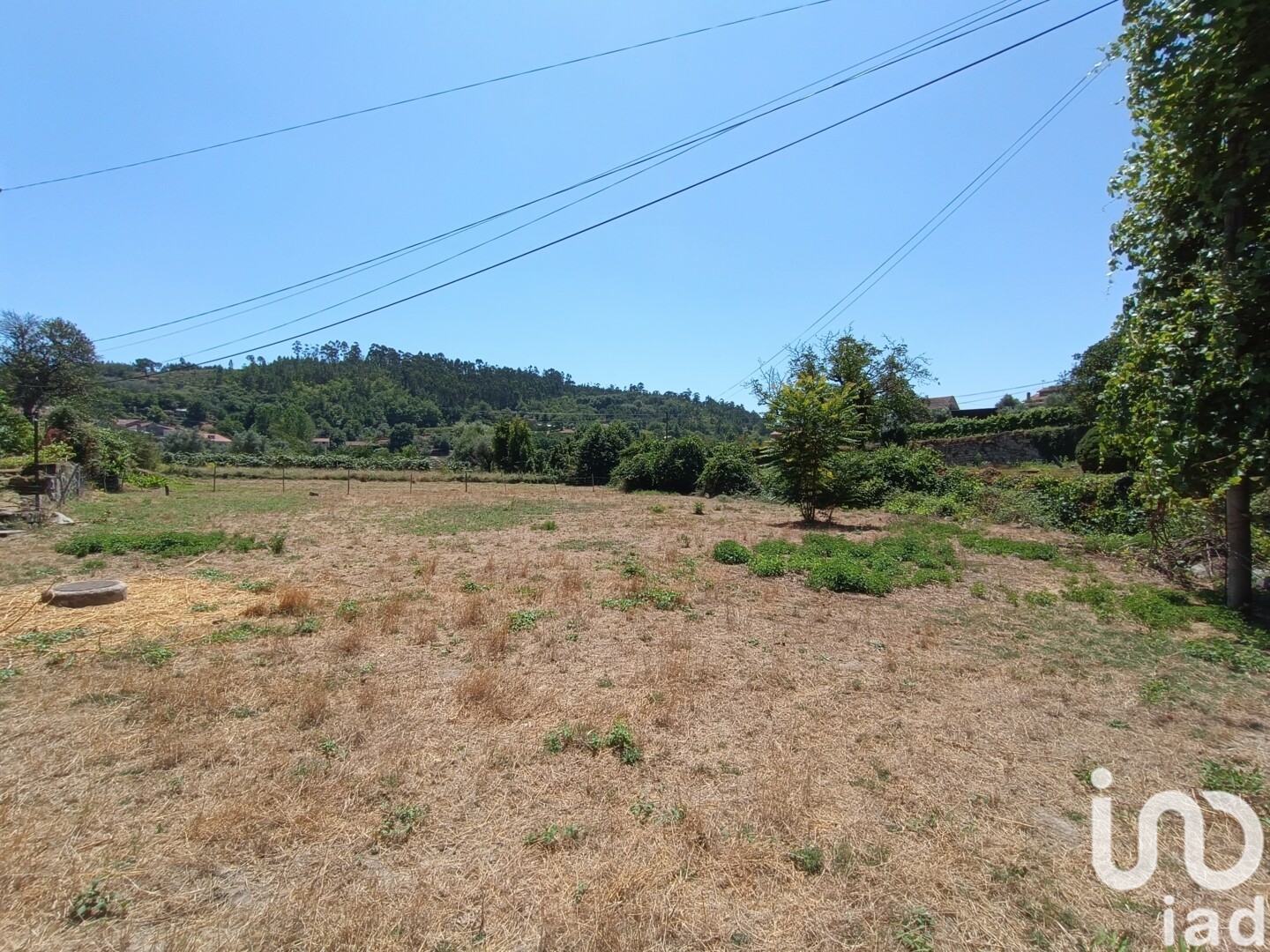 Moradia T4 à venda em Beijós, Carregal do Sal — foto 13