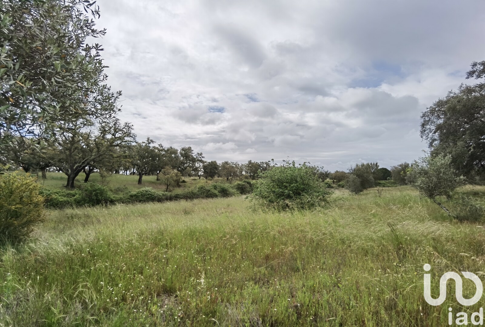 Moradia T3 à venda em Alvalade, Santiago do Cacém — foto 5