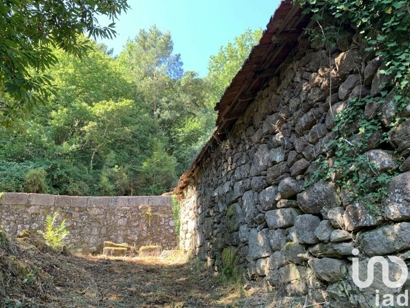 Moradia T6+ à venda em Covas, Vila Nova de Cerveira — foto 11