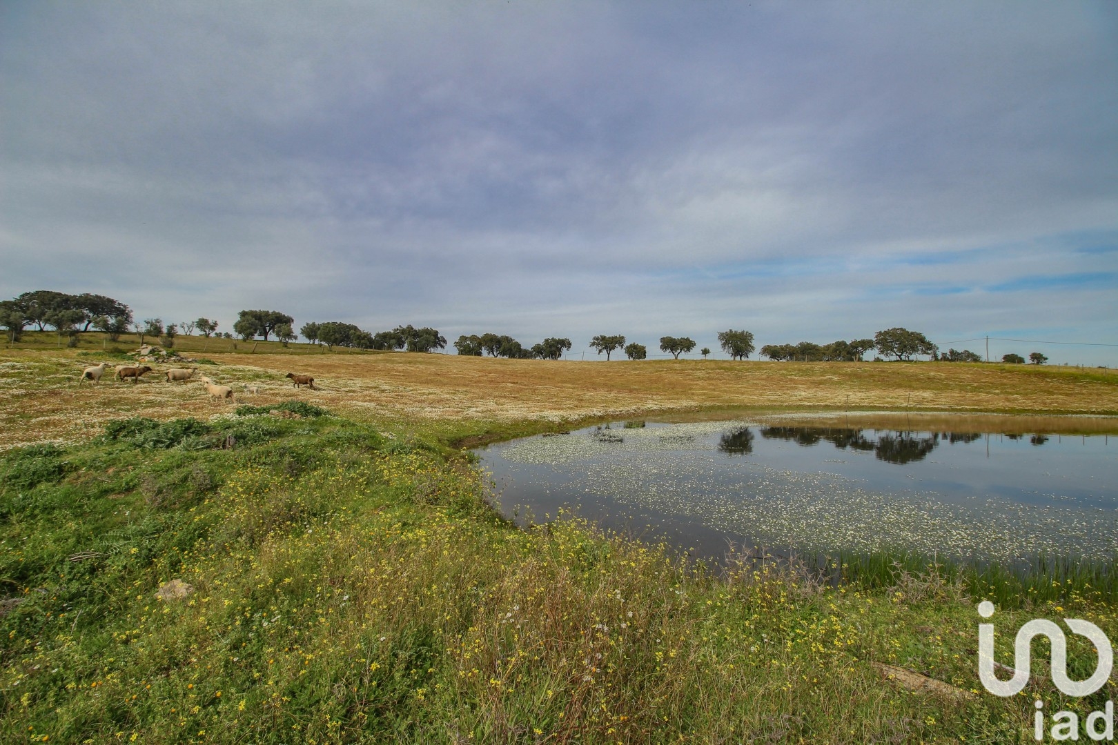 Moradia T2 à venda em Assunção, Arronches — foto 15