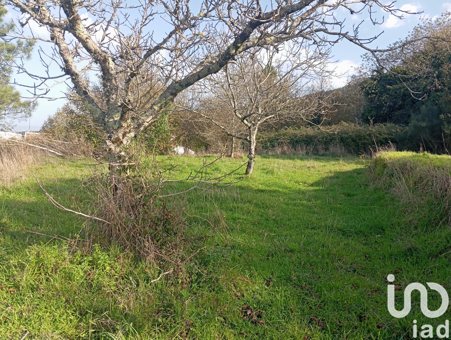 Moradia T3 à venda em Vila Nova, Miranda do Corvo — foto 5