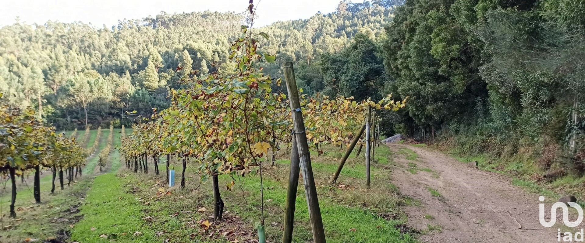Moradia T3 à venda em Gamil e Midões, Barcelos — foto 13