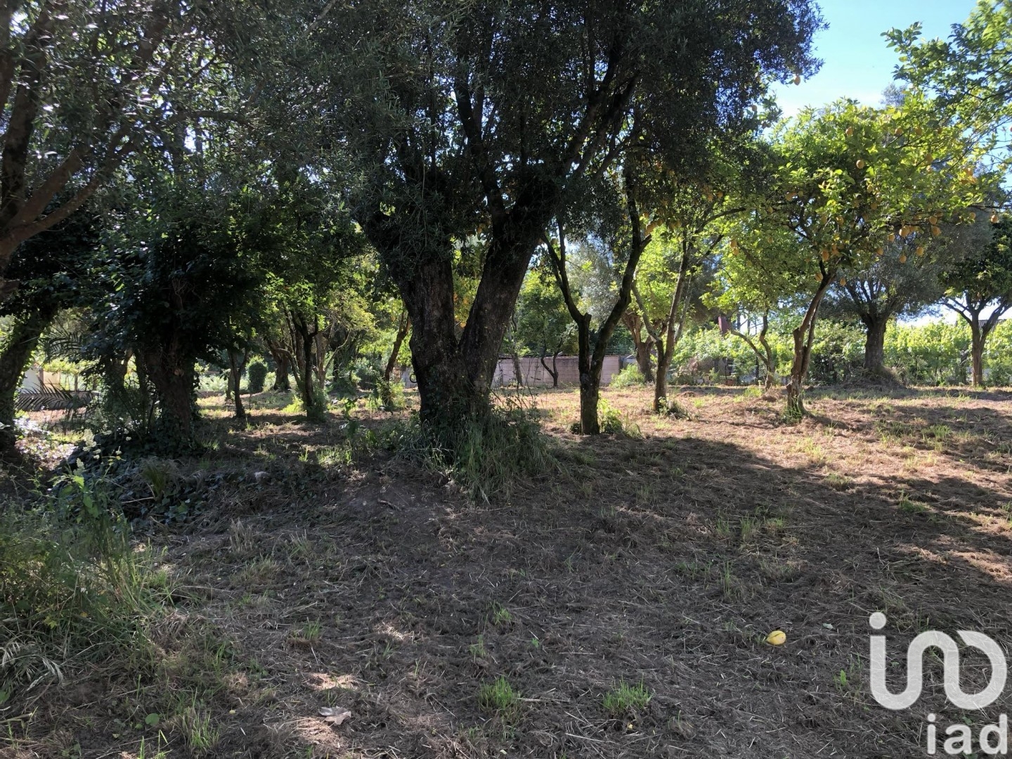 Moradia T3 à venda em Correlhã, Ponte de Lima — foto 22
