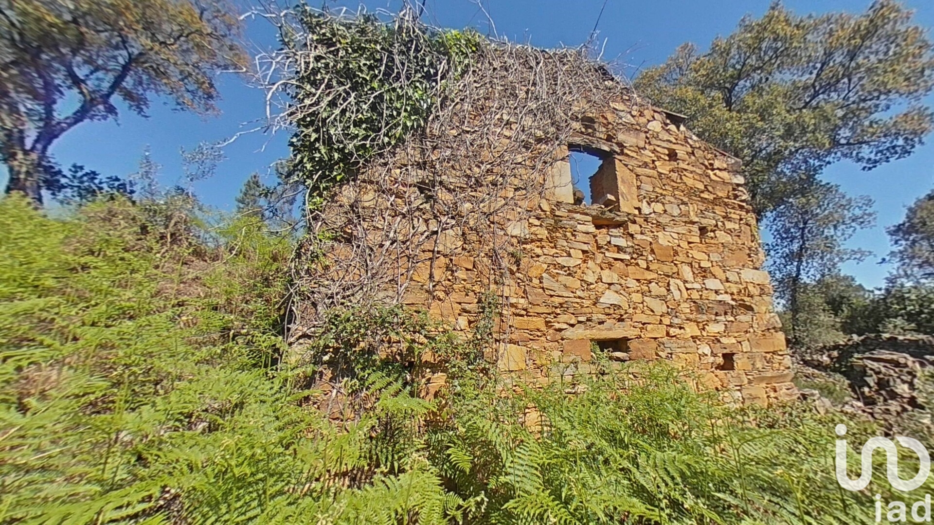 Moradia T0 à venda em Alvares, Góis — foto 10