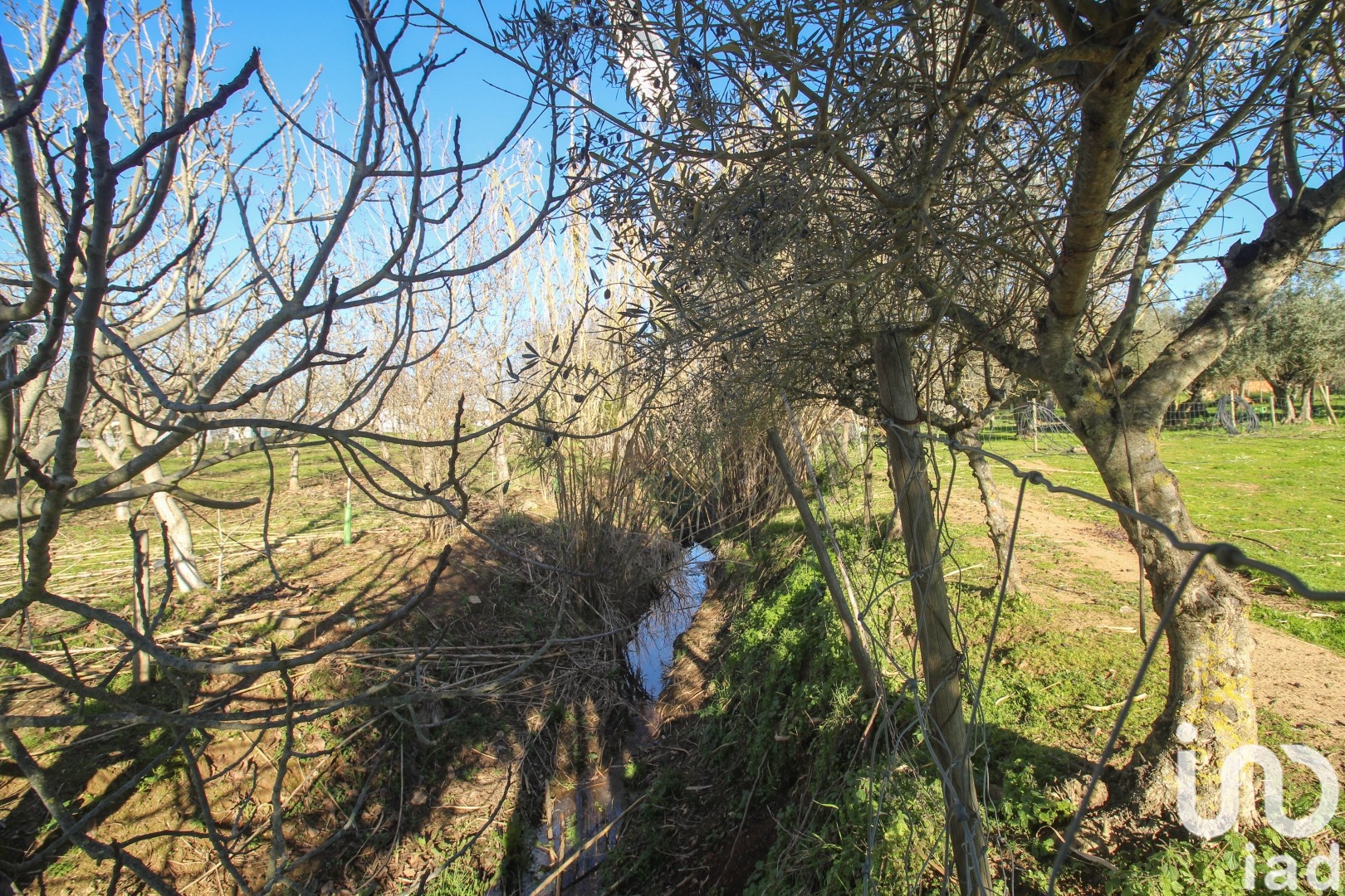 Moradia T0 à venda em Ameixial (Santa Vitória e São Bento), Estremoz — foto 24