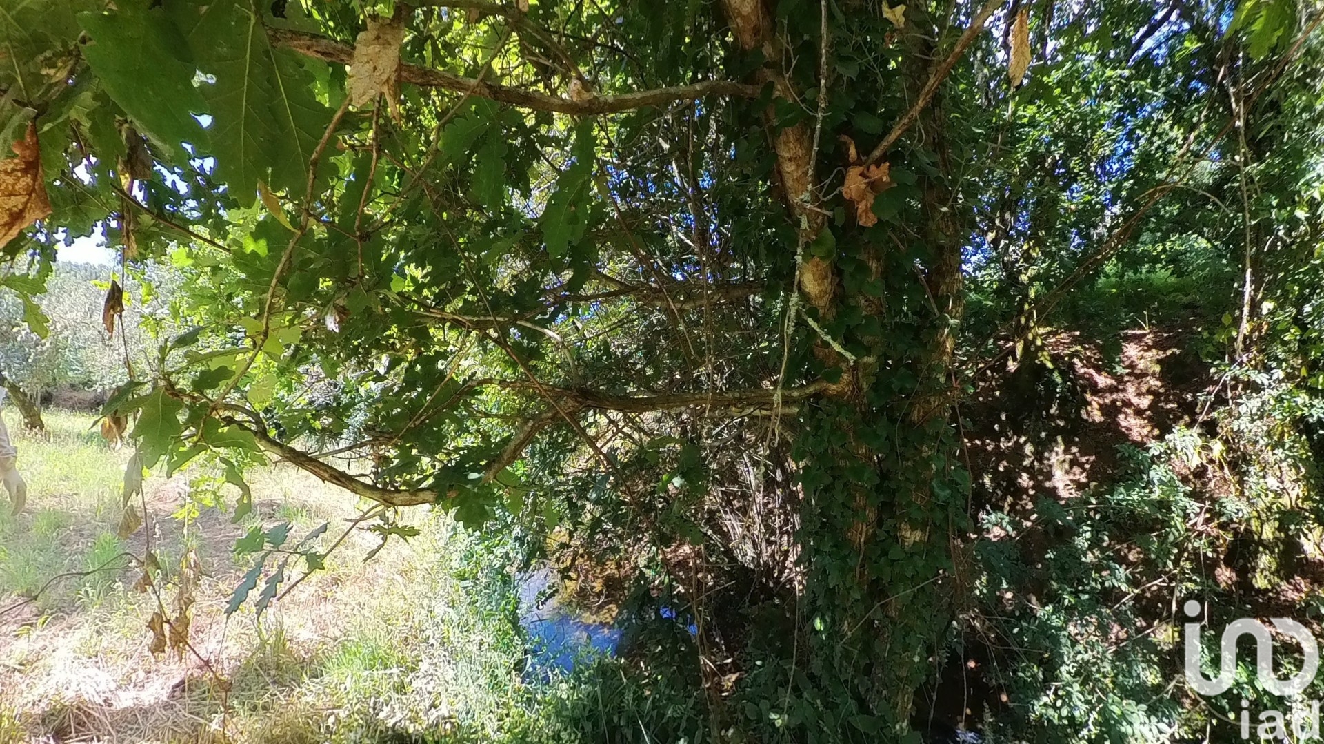 Moradia T0 à venda em Castanheira de Pêra e Coentral, Castanheira de Pêra — foto 19