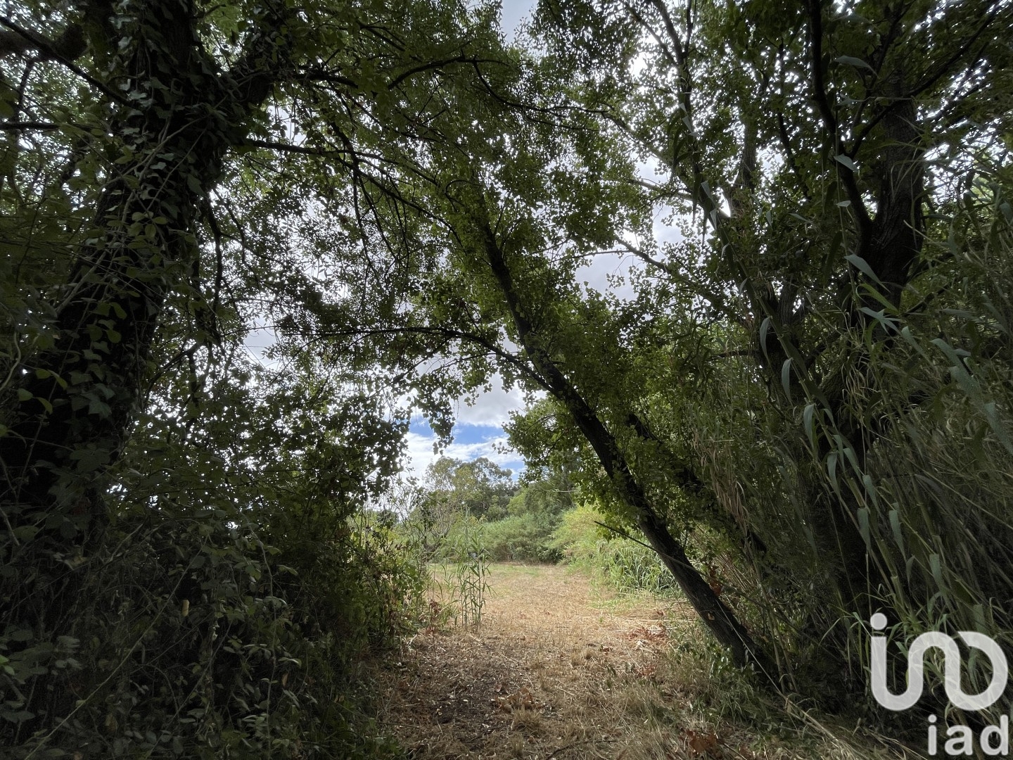 Moradia T5 à venda em Alverca do Ribatejo e Sobralinho, Vila Franca de Xira — foto 29