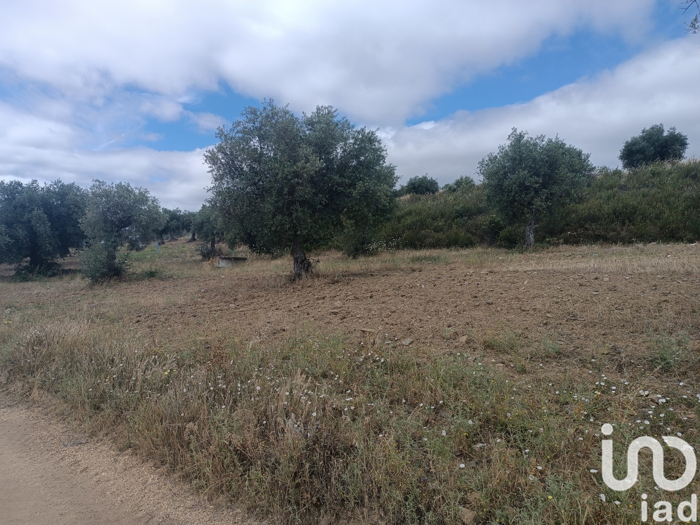 Moradia T2 à venda em Lagoa, Macedo de Cavaleiros — foto 11