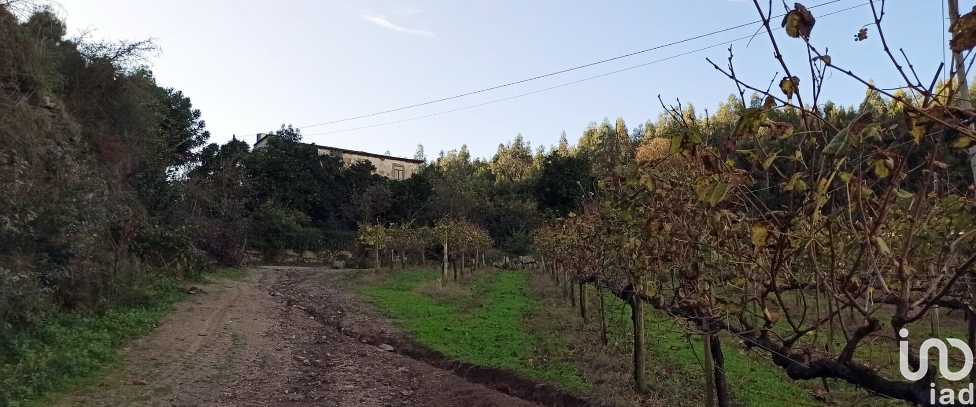 Moradia T3 à venda em Gamil e Midões, Barcelos — foto 3