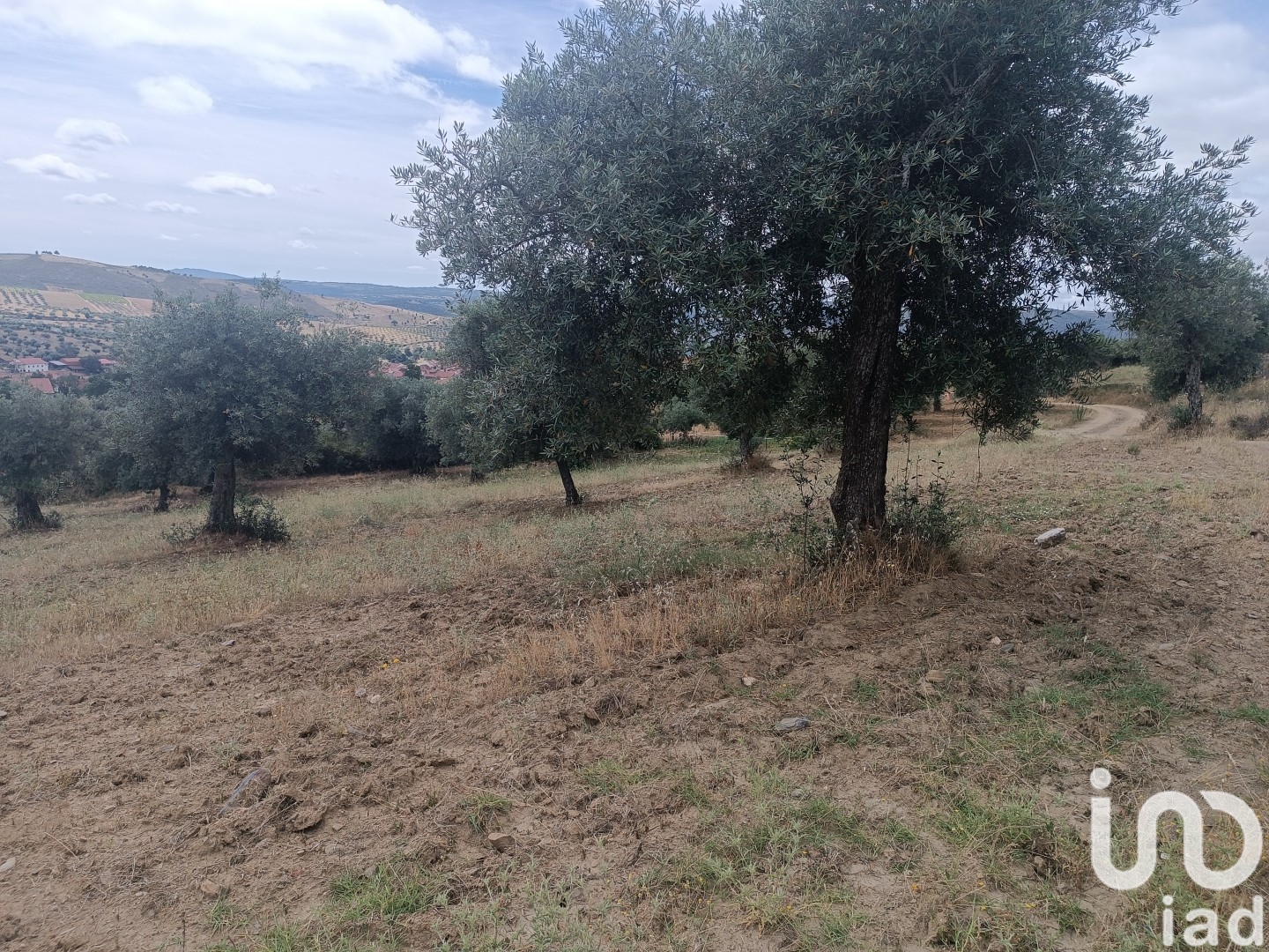Moradia T2 à venda em Lagoa, Macedo de Cavaleiros — foto 9