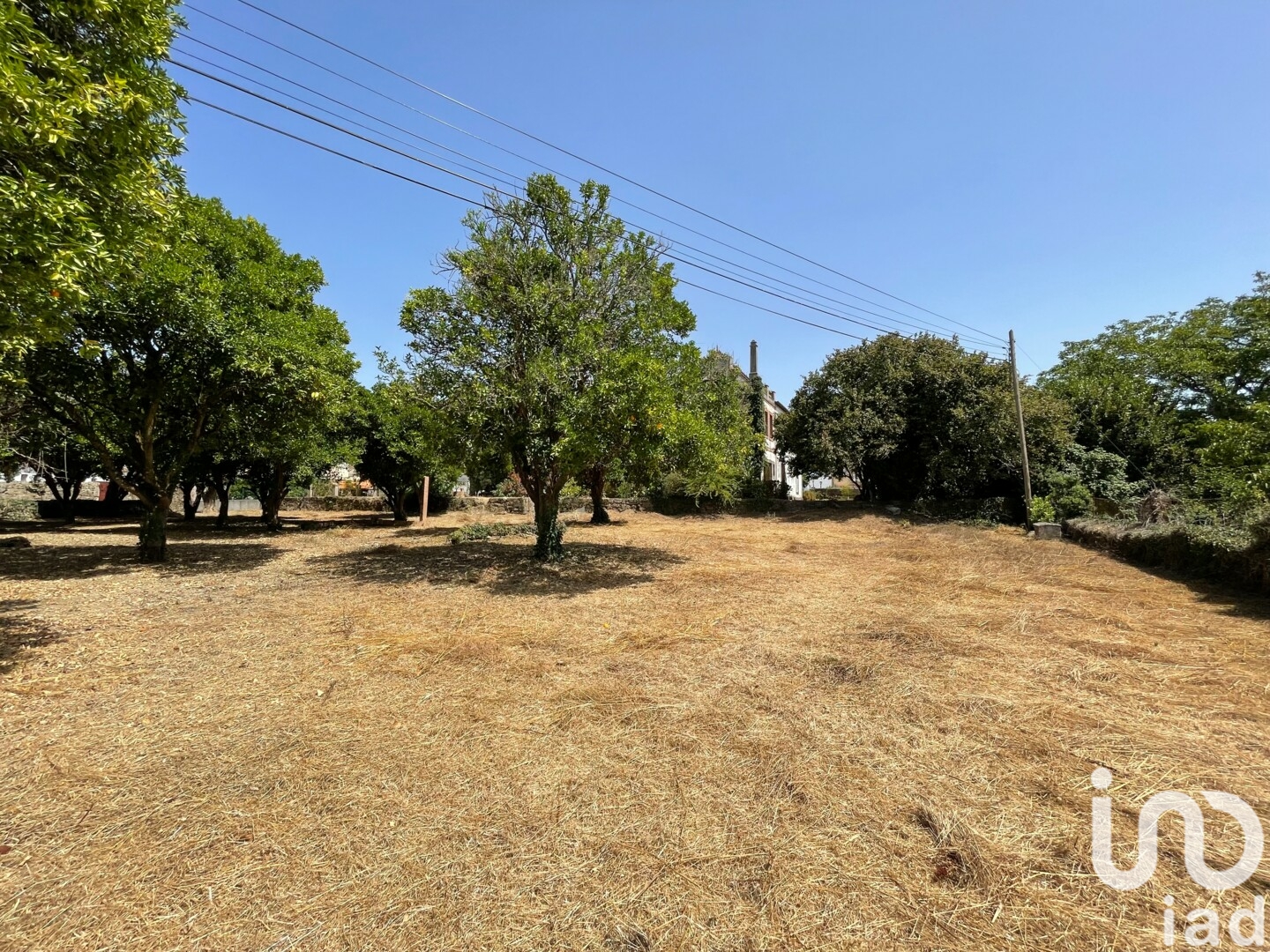 Moradia T6+ à venda em Canas de Santa Maria, Tondela — foto 14