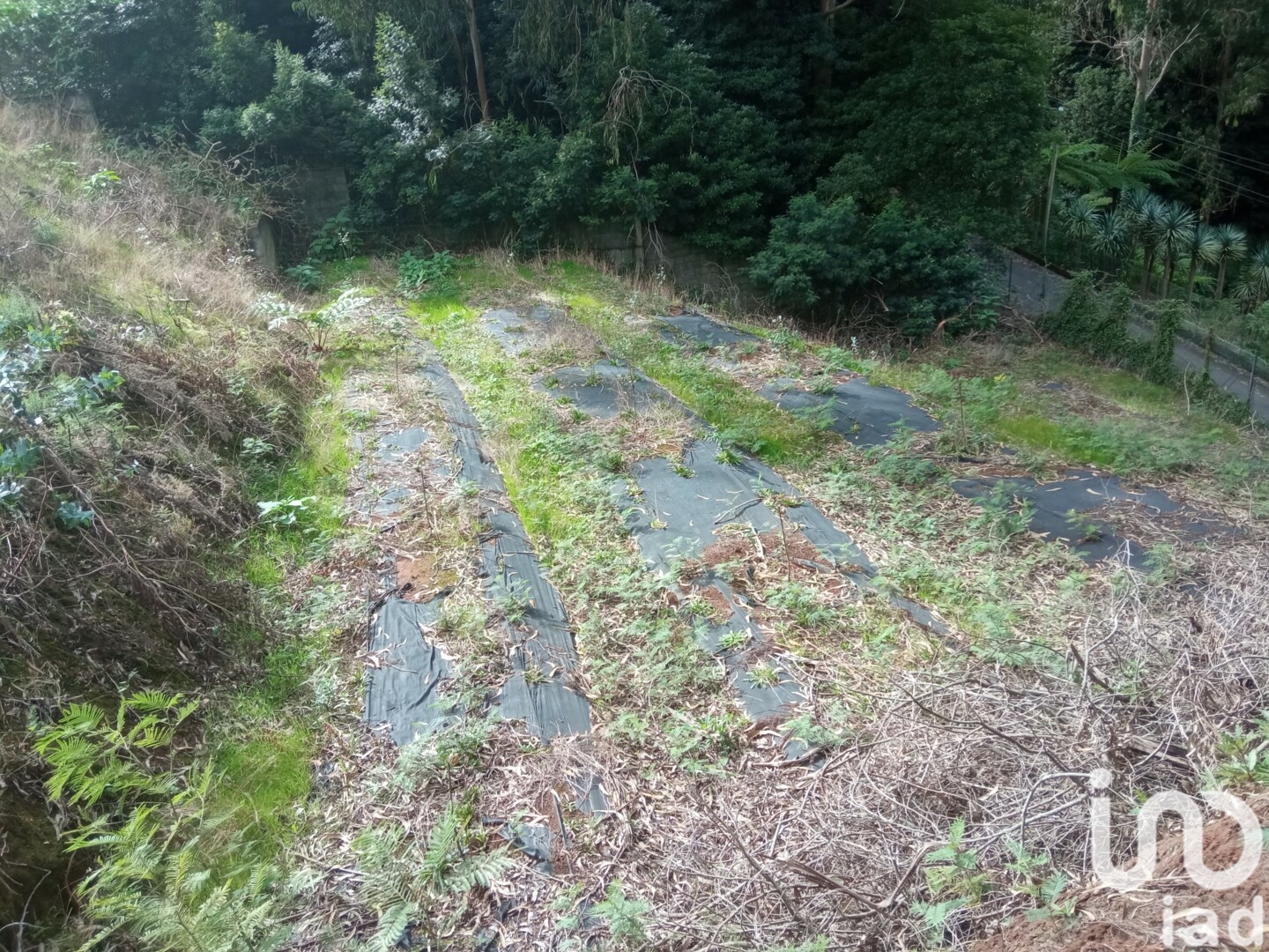 Moradia T3 à venda em São Jorge, Santana — foto 15