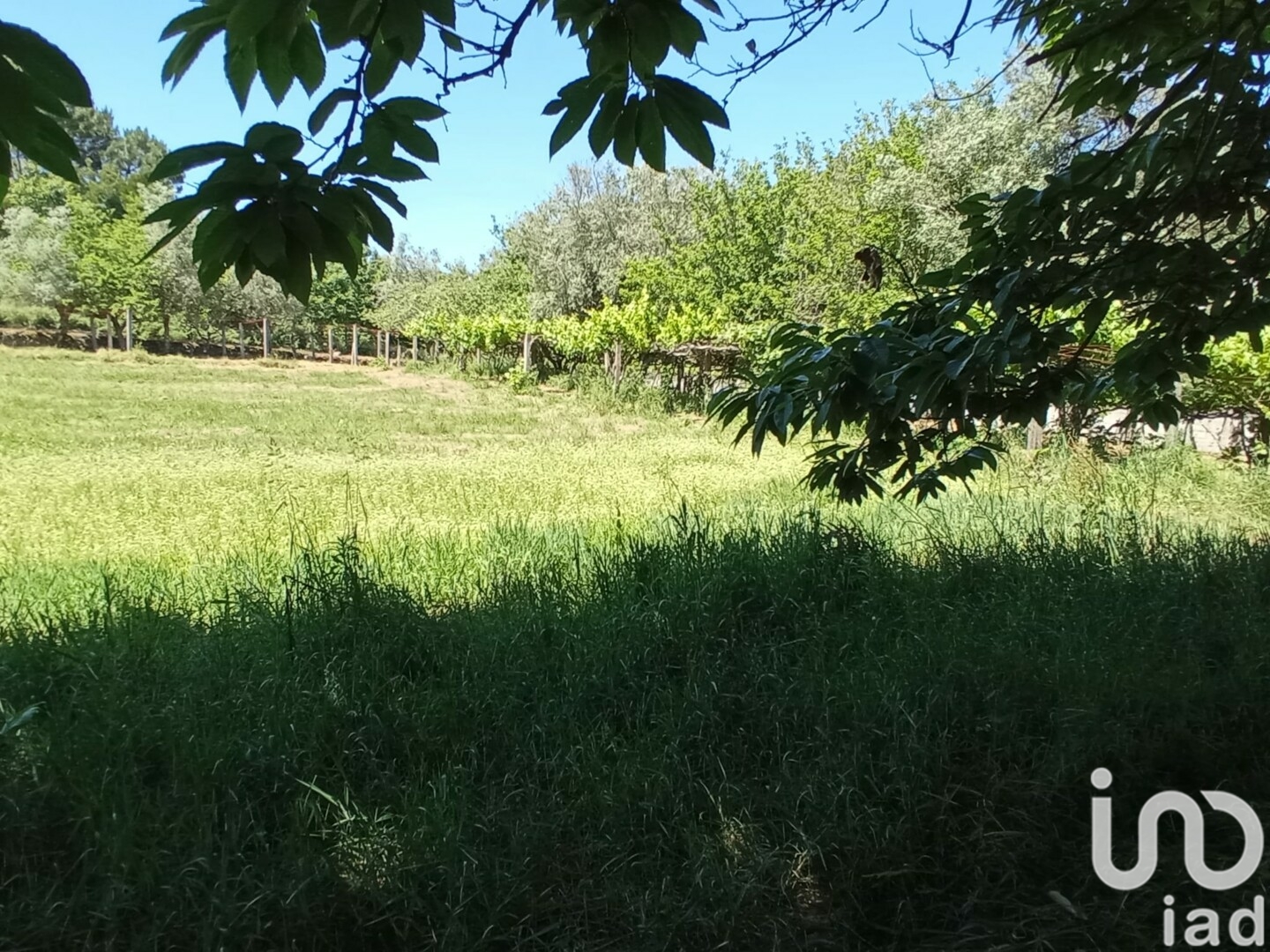 Moradia T2 à venda em Cardielos e Serreleis, Viana do Castelo — foto 14