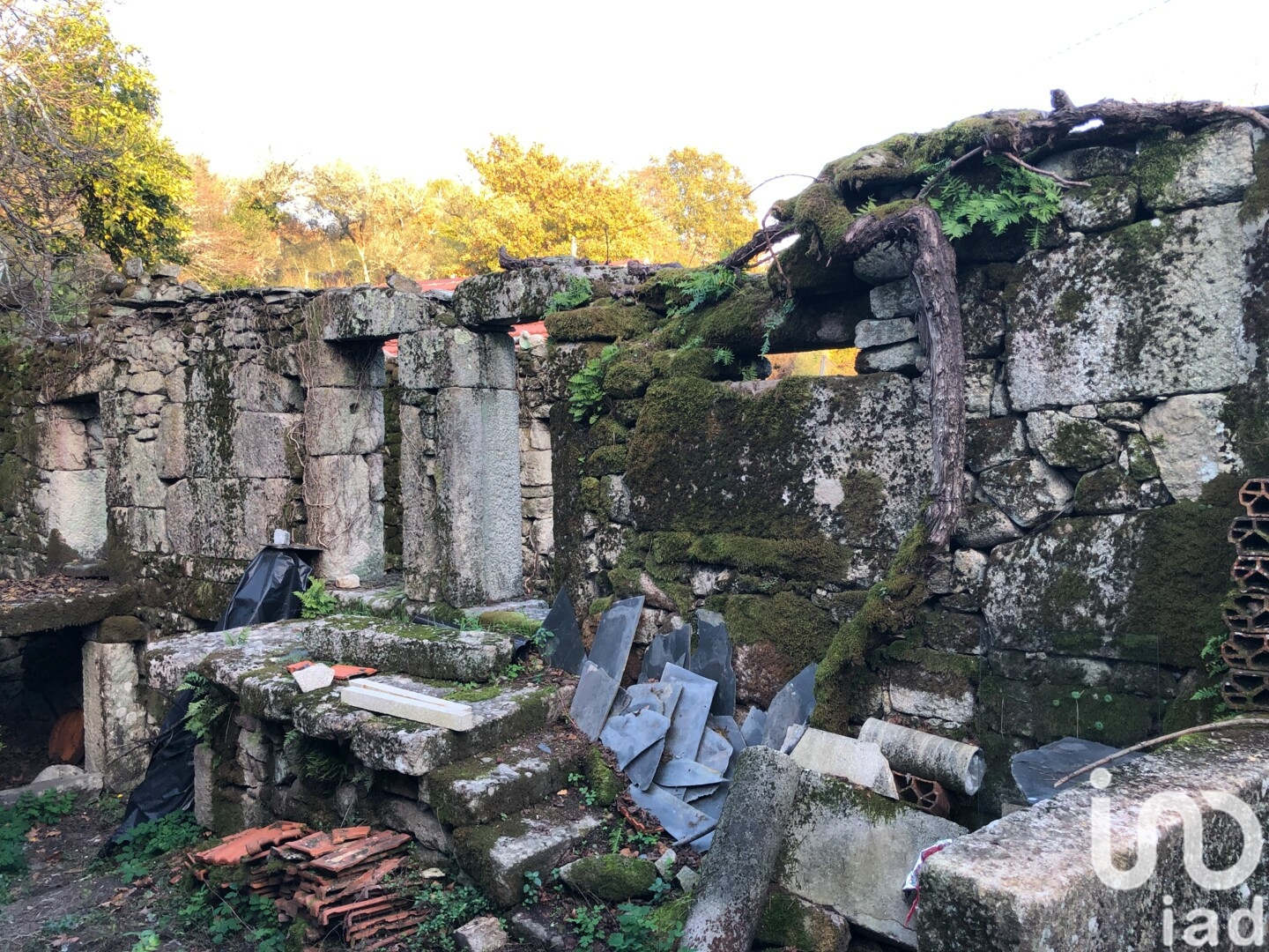Moradia T4 à venda em Vilar de Ferreiros, Mondim de Basto — foto 15
