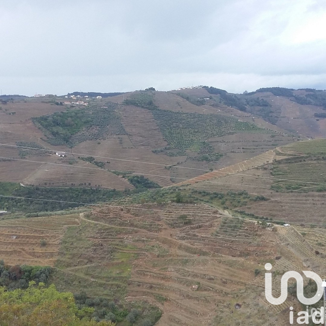 Moradia T6+ à venda em Gouvinhas, Sabrosa — foto 16