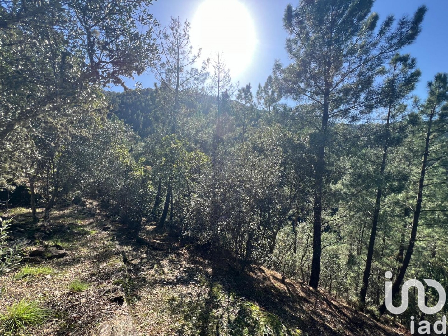Moradia T0 à venda em Celavisa, Arganil — foto 9
