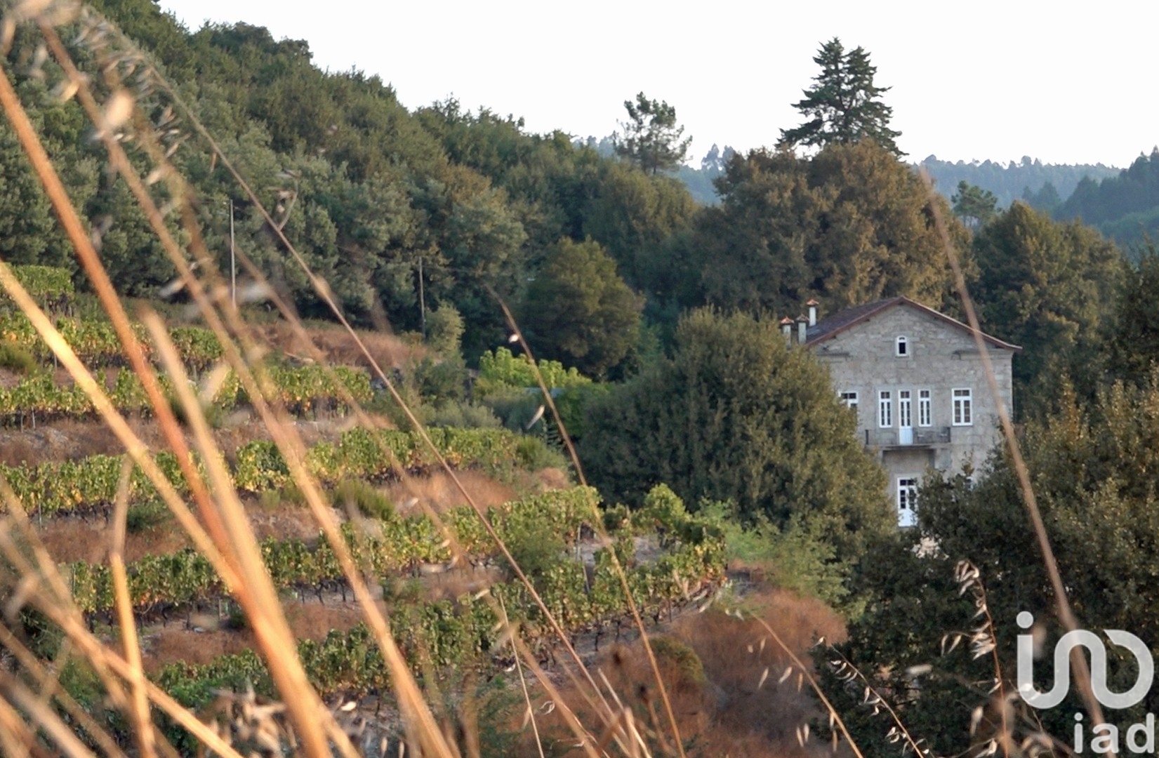 Moradia T6+ à venda em Parada de Gonta, Tondela — foto 19