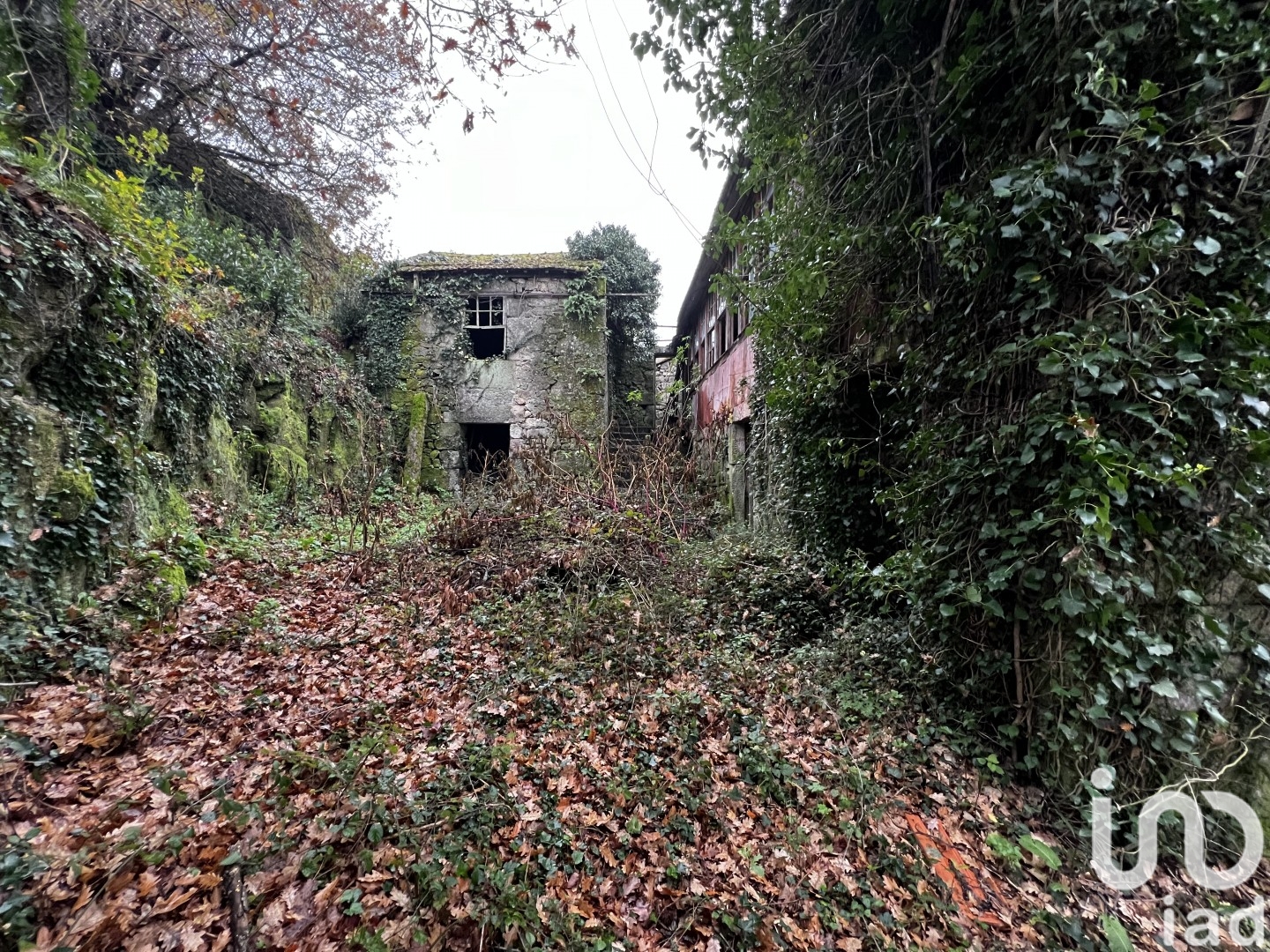 Moradia T0 à venda em São Vicente de Lafões, Oliveira de Frades — foto 5