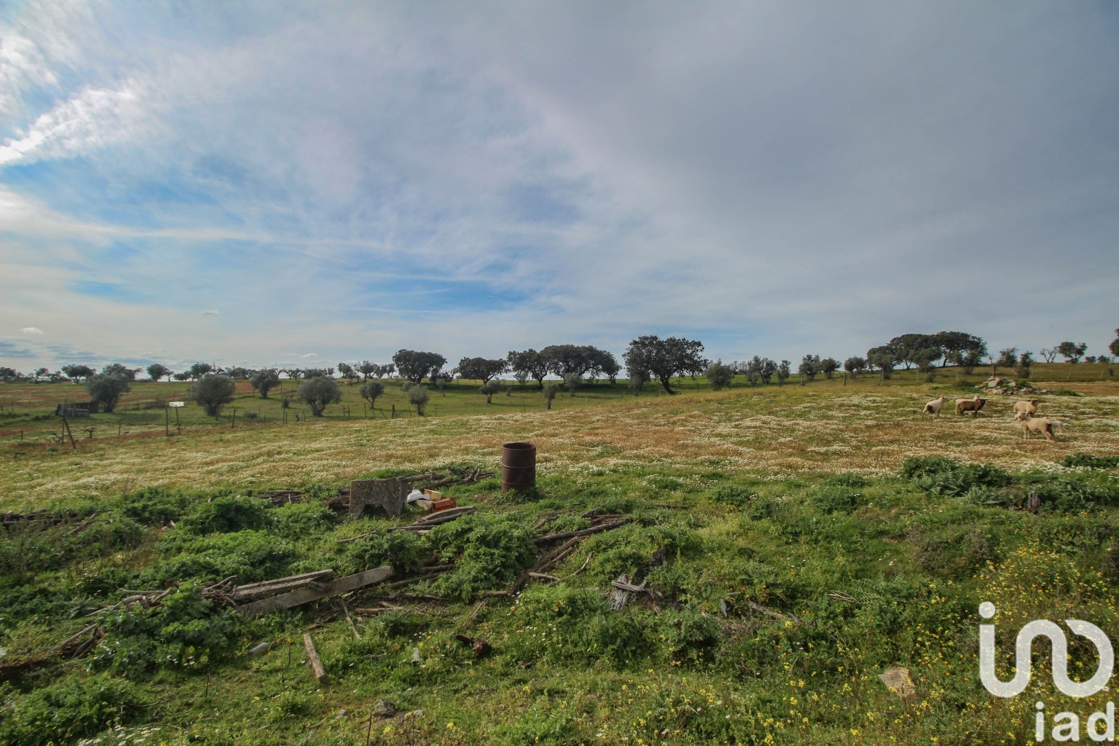 Moradia T2 à venda em Assunção, Arronches — foto 30