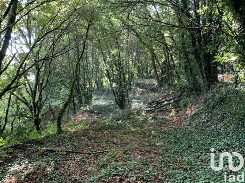 Moradia T6+ à venda em Covas, Vila Nova de Cerveira — foto 18