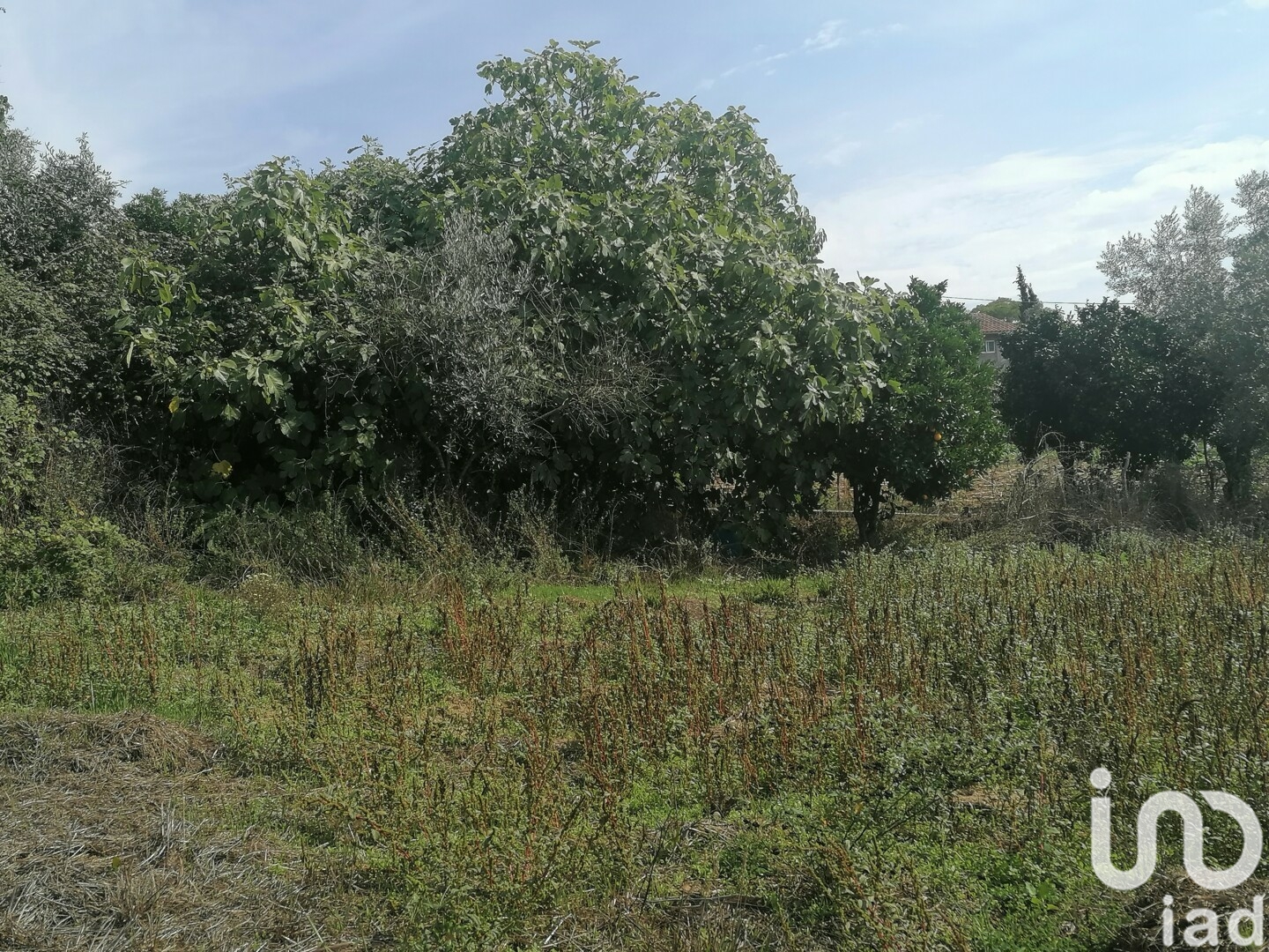 Moradia T0 à venda em Lamas, Miranda do Corvo — foto 22