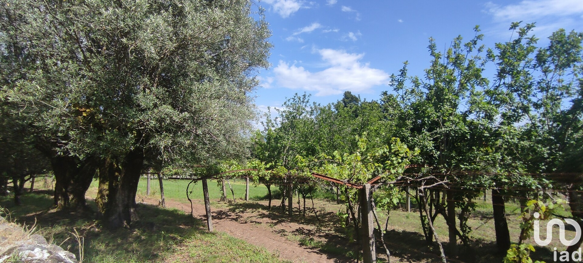 Moradia T2 à venda em Cardielos e Serreleis, Viana do Castelo — foto 3