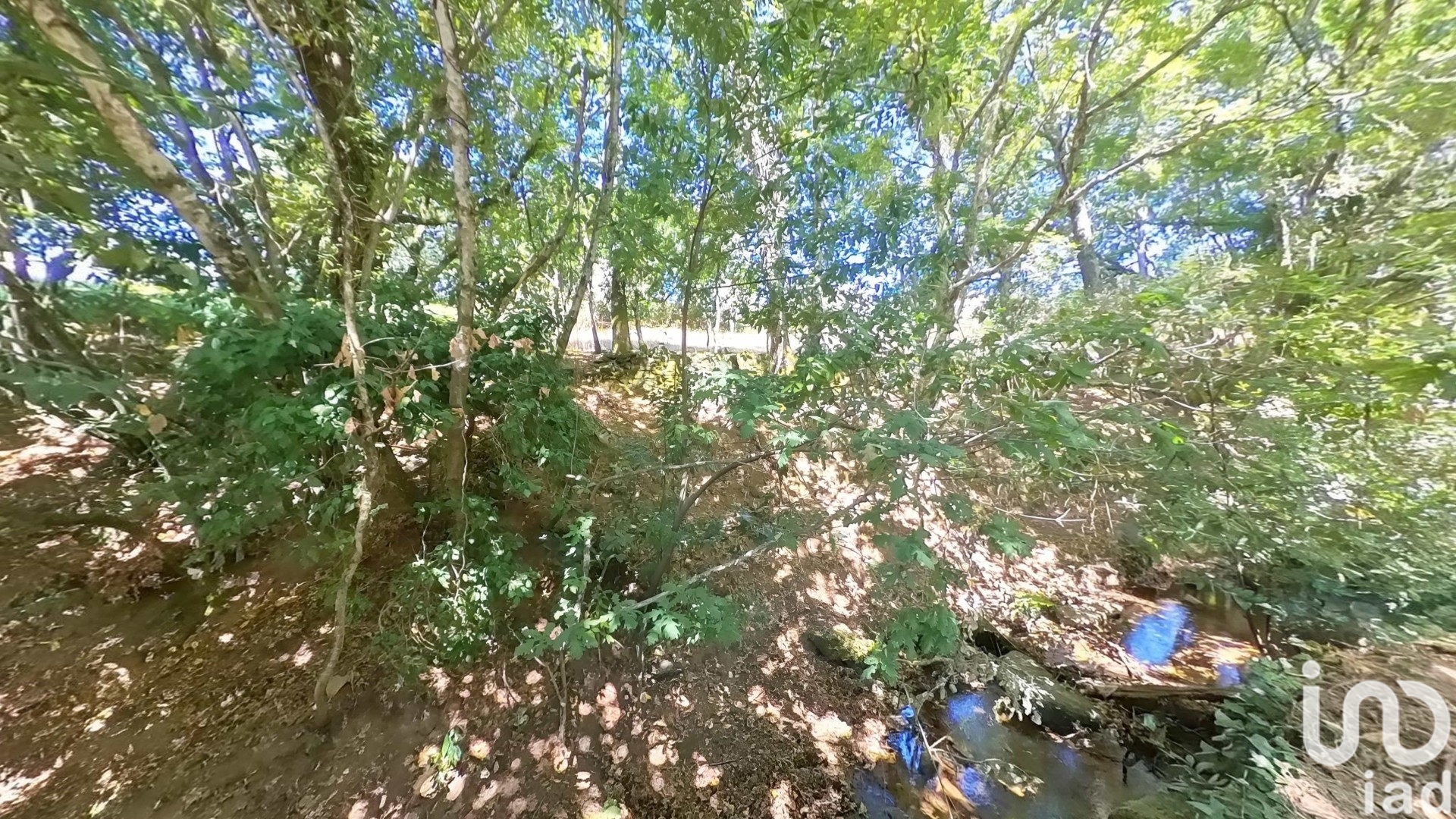 Moradia T0 à venda em Castanheira de Pêra e Coentral, Castanheira de Pêra — foto 16