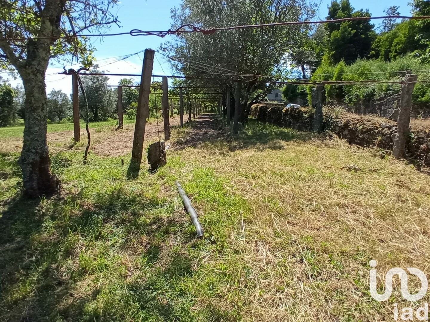 Moradia T2 à venda em Cardielos e Serreleis, Viana do Castelo — foto 11