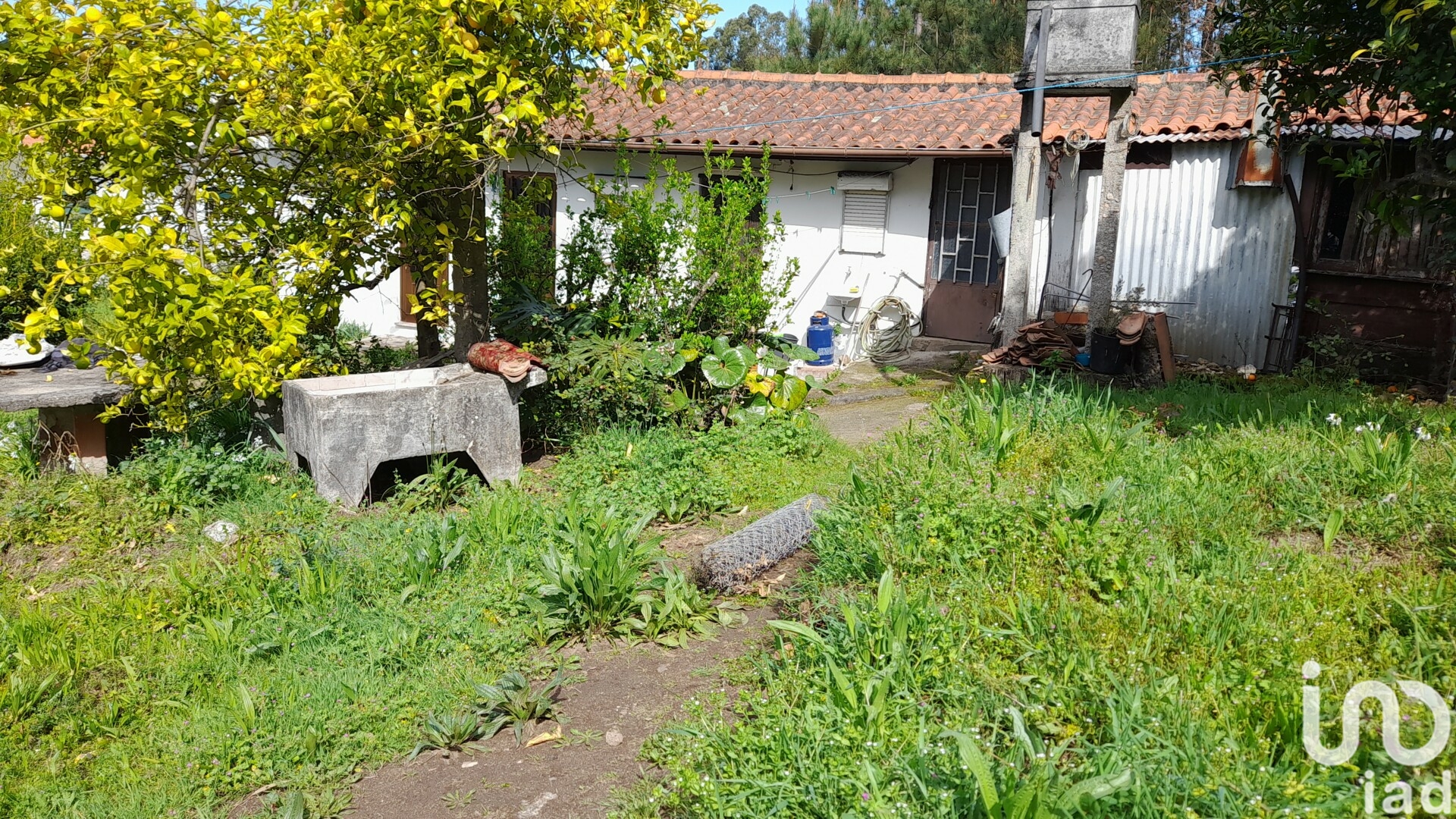Moradia T3 à venda em Alheira e Igreja Nova, Barcelos — foto 5