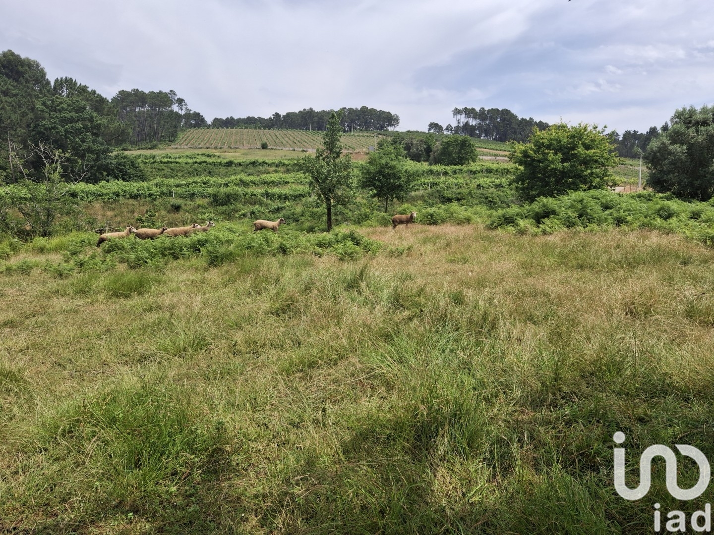 Moradia T4 à venda em Moreira, Monção — foto 7