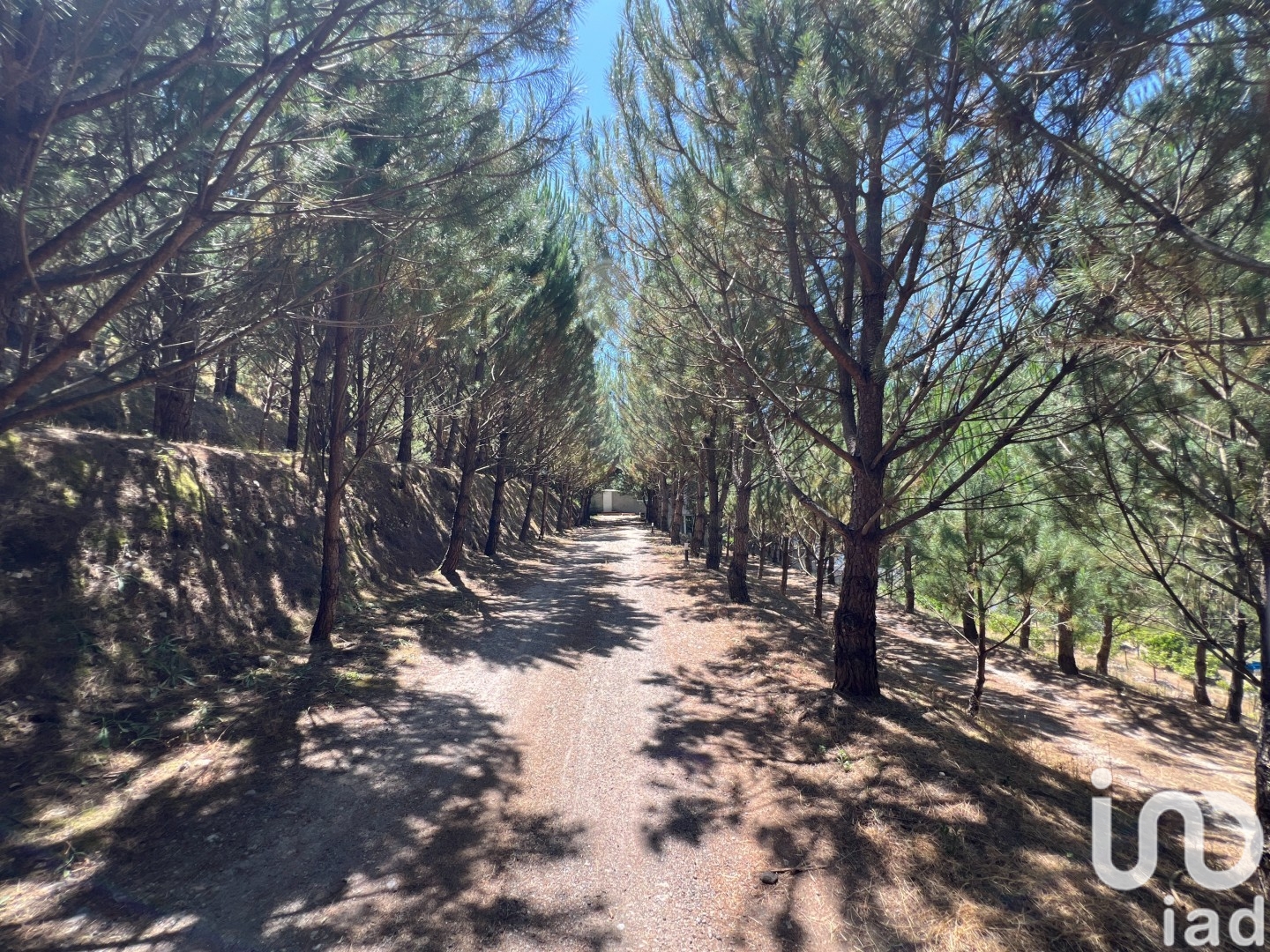 Moradia T4 à venda em Castelões, Tondela — foto 13